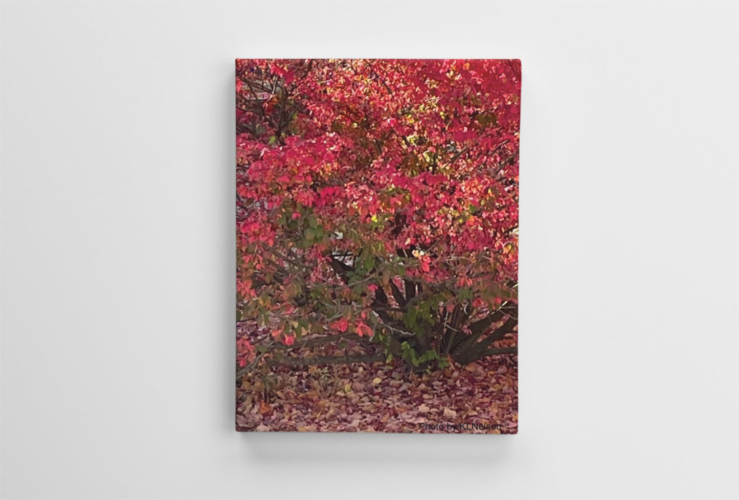 Fall in Northern Michigan Canvas by KL Nelson